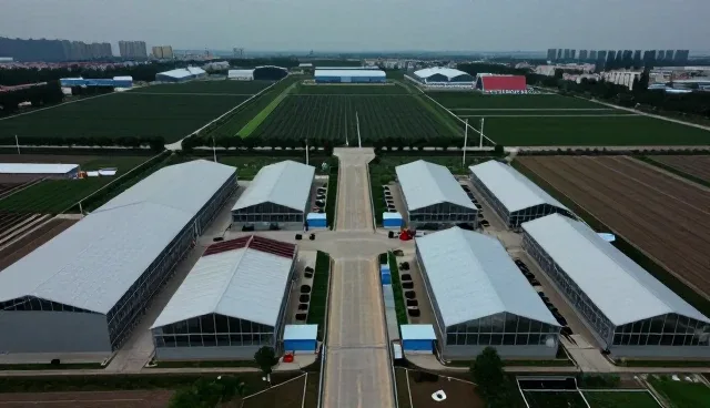 提升设备稳定性：技术适配方案的使用与维护要点